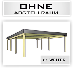 Doppelcarport Typ Klassik ohne Abstellraum