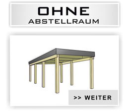 Einzelcarport Typ Klassik ohne Abstellraum