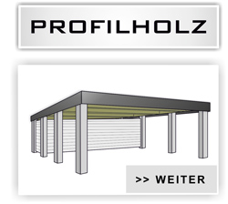 Doppelcarport Typ Massiv mit Abstellraum mit Profilholz